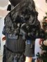   Промо 1150 лв! Just Cavalli - уникално палто от естествена кожа и косъм, снимка 11
