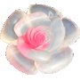 Сапун в форма на роза, снимка 1 - Ръчно изработени сувенири - 37957967