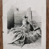 Притурки към детско Списание "Звездица"(1892-1914), снимка 6 - Антикварни и старинни предмети - 32208716