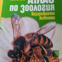 Атлас по зоология. Безгръбначни животни - от Павел Ангелов, ново състояние, снимка 1 - Специализирана литература - 32594507