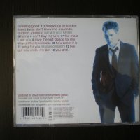 Michael Bublé – It's Time 2005 Michael Buble, снимка 3 - CD дискове - 42979416