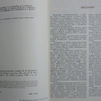 Книга  Большой филателистический словарь, снимка 2 - Енциклопедии, справочници - 28717938