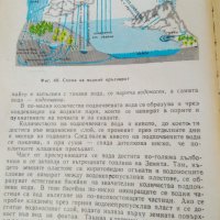Учебник ГЕОГРАФИЯ 1985 г., снимка 9 - Антикварни и старинни предмети - 28672128