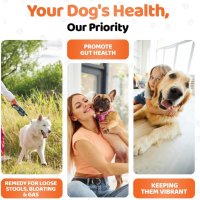 Храносмилателна добавка за кучета, пре и пробиотици, без ГМО, веган - 140 дъвки , снимка 6 - За кучета - 44086644