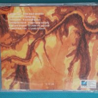 Midnight Oil (Alternative Rock)-3CD, снимка 11 - CD дискове - 43837856