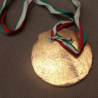 Соц емайл медал,плакет ДОСО, снимка 4 - Други ценни предмети - 32758487