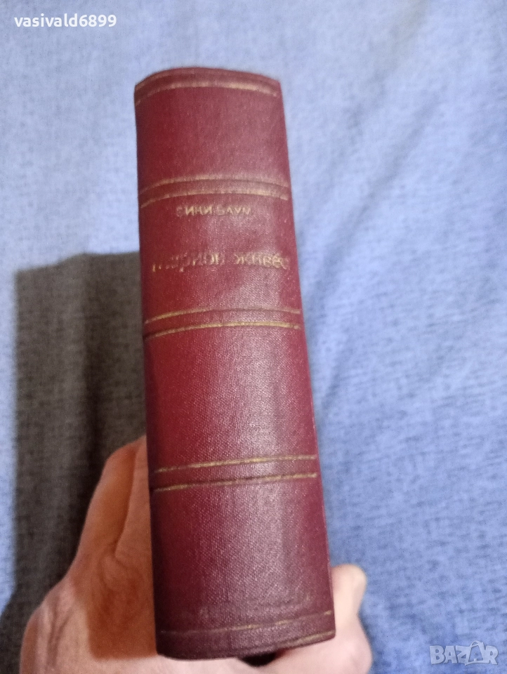 Вики Баум - Марион живее , снимка 1