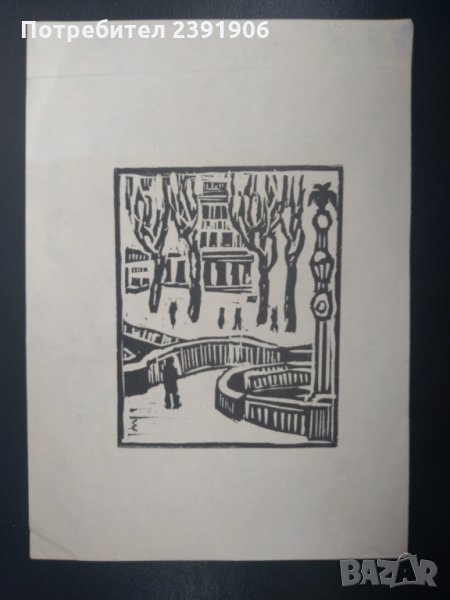 Сирак Скитник, снимка 1