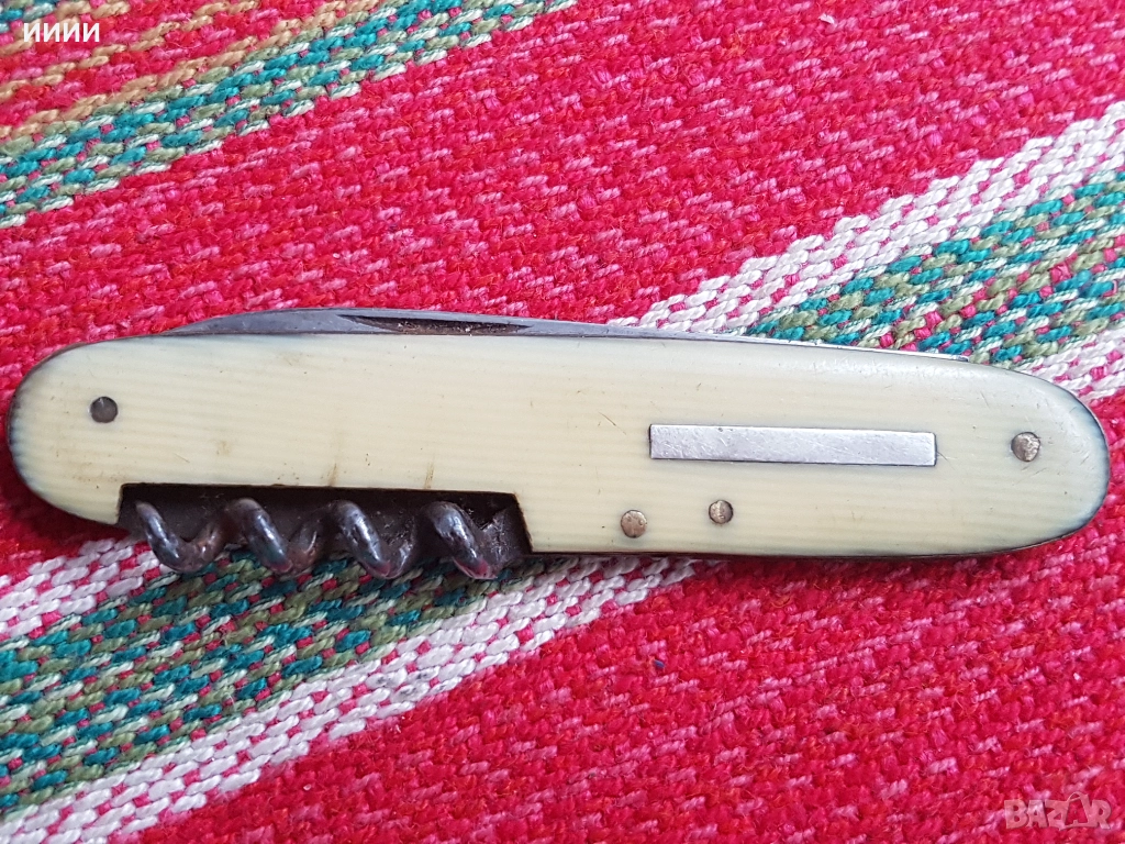 Ножка слонова кост , снимка 1