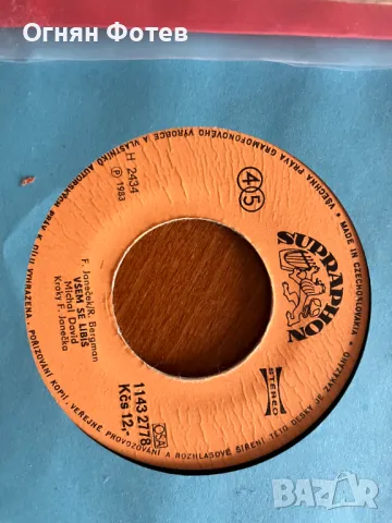 Лот от 20 малки плочи, снимка 4 - Грамофонни плочи - 49027478