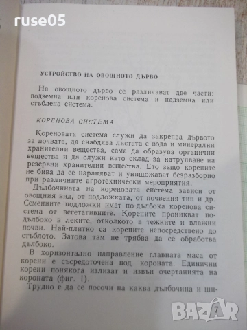 Книга "Малка овощна градина-Т.Ангелов/С.Иванов" - 184 стр.-1, снимка 4 - Специализирана литература - 51761656