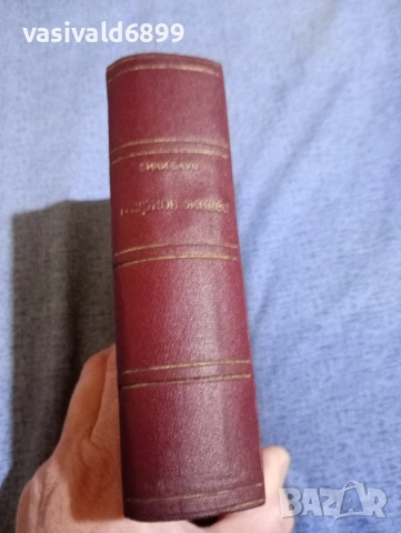 Вики Баум - Марион живее 