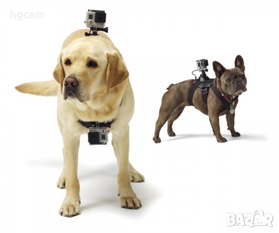 Двойна стойка за куче Dog Fetch за спортни камери GoPro, снимка 11 - Чанти, стативи, аксесоари - 27713853