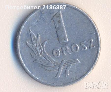 Полски грош от 1949 година