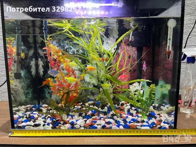 Аквариум, снимка 9 - Оборудване за аквариуми - 50885634