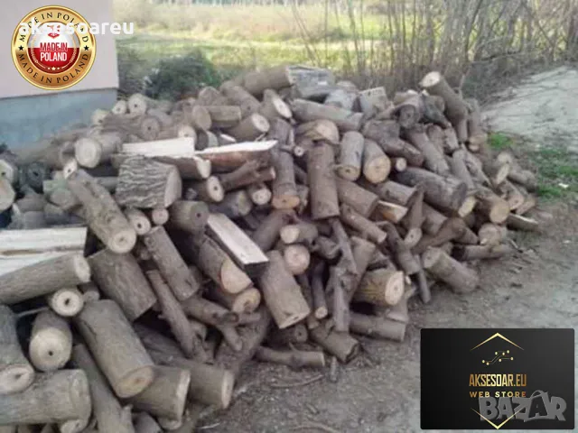 400 качествени семена от красиво декоративно медоносно дърво пауловния томентоса декорация украса, снимка 8 - Сортови семена и луковици - 50387864