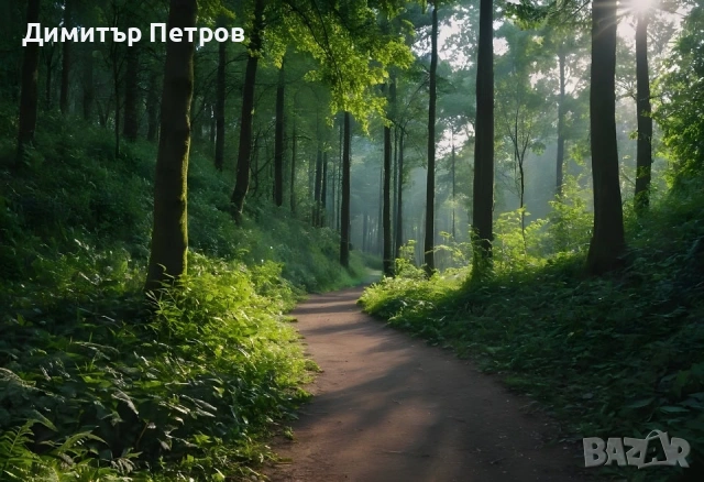 Широколистна гора , снимка 2 - Земеделска земя - 53381757