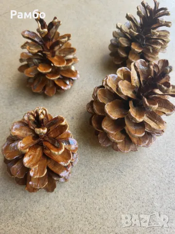 Борови шишарки за декорация, снимка 3 - Декорация за дома - 47988236