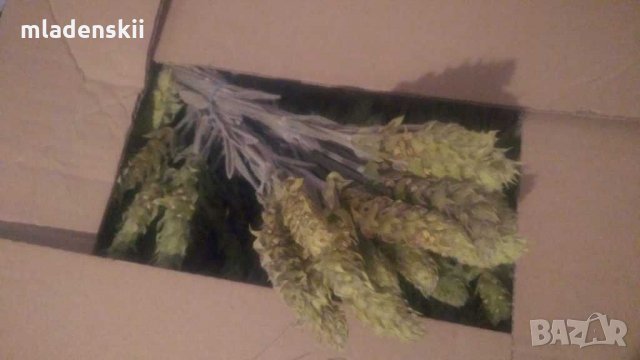 МуРсАлСкИ ЧаЙ, снимка 5 - Домашни продукти - 28503909