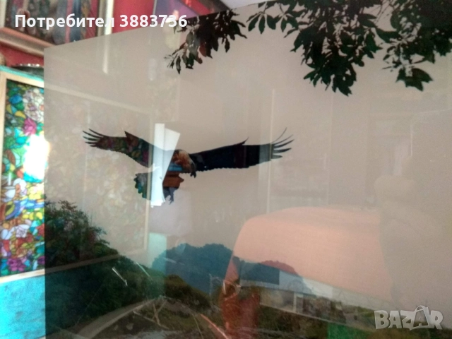 Светеща картина със звук водопад и птици, снимка 4 - Декорация за дома - 51734735