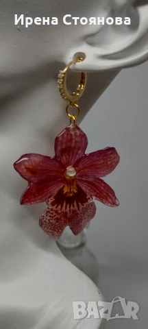 Обеци с естествен цвят на мини орхидея Miltonia. Цветче с размери 5/4,5 см. , снимка 13 - Обеци - 51090714