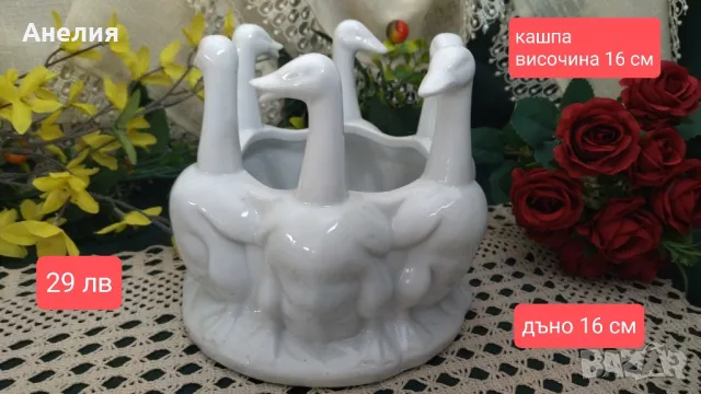 Кашпа бели гъски 