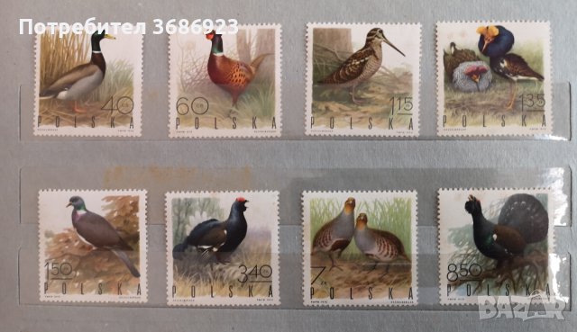  Диви птици Полша 