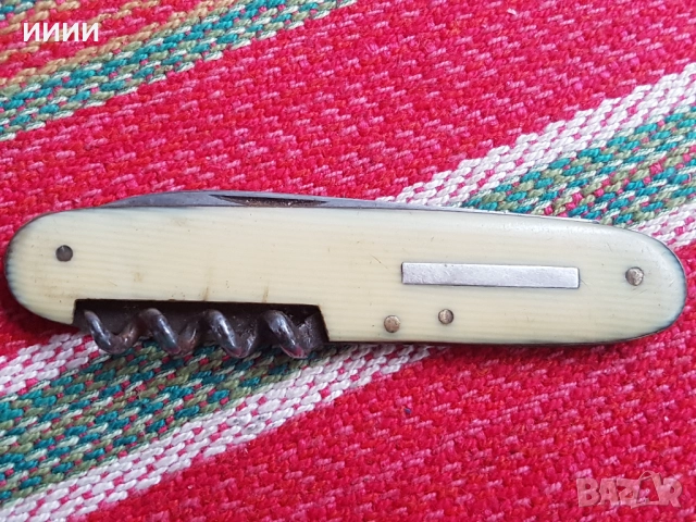 Ножка слонова кост 