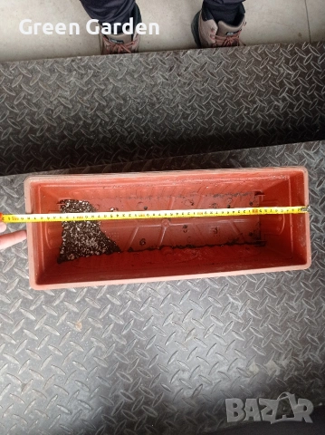 Сандъче - Саксия , снимка 2 - Саксии и кашпи - 53118181