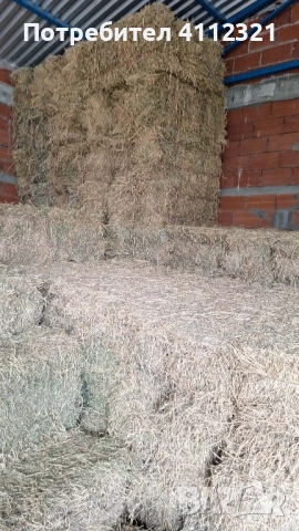 Люцерна доставка на място , снимка 2 - За селскостопански - 53224672