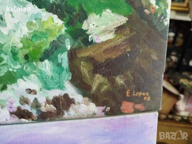Стара маслена картина на платно. Подписана творба от Испания с подрамник с размери от снимките. Цена, снимка 3 - Картини - 47976997