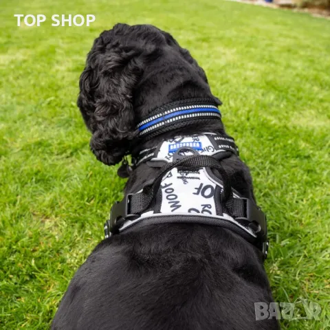 Нагръдник за кучета Battersea M, снимка 4 - За кучета - 49500307