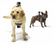 Двойна стойка за куче Dog Fetch за спортни камери GoPro, снимка 11