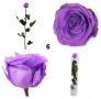 Естествени стабилизирани рози и цвят роза-за дома, подарък, декорация с мъх, снимка 12