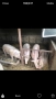 Продавам угоени прасeта, снимка 1