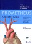 Атлас по анатомия PROMETHEUS от 1 до 3 том, PROMETHEUS Anatomi Atlası, Cilt 1-3, турски език