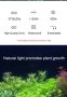 LED Разтегателна водоустойчива лампа,светлина подходяща и за водни растения, снимка 8