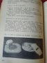 "ИЗПОЛЗУВАНЕ НА ЗЕЛЕНЧУЦИТЕ И ПЛОДОВЕТЕ В ДОМАКИНСТВОТО"1970г., снимка 7