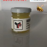 Въсъчни основи кашон 100 бр ( Пчела 2010 ), снимка 3 - За пчели - 25363709