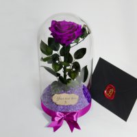 Лилава Вечна Роза в Стъкленица / Оригинален Подарък за Жена / Лилава Естествена Вечна Роза, снимка 6 - Ръчно изработени сувенири - 37067134