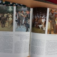 Каталог Световно ловно изложение Пловдив 1981 г  EXPO 81, снимка 2 - Колекции - 32964589