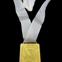 1-во Балканско първенство по орнитология-1989г-Златен медал на победител, снимка 2 - Колекции - 43911946