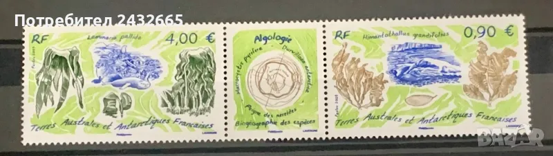 2398. Френска Антарктика 2009 ~ “ Флора и Фауна. Морски живот. Водорасли.”, **, MNH, снимка 1