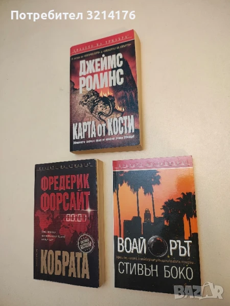 Воайорът - Стивън Боко, снимка 1