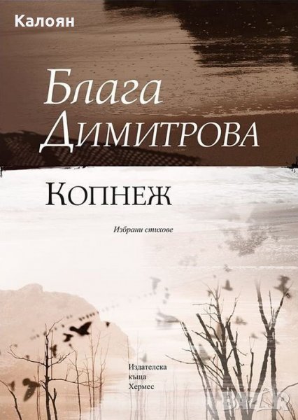 Блага Димитрова - Копнеж, снимка 1