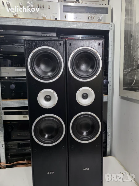 🔊 AEG Z500 – Звярът от старата школа! 🎶, снимка 1