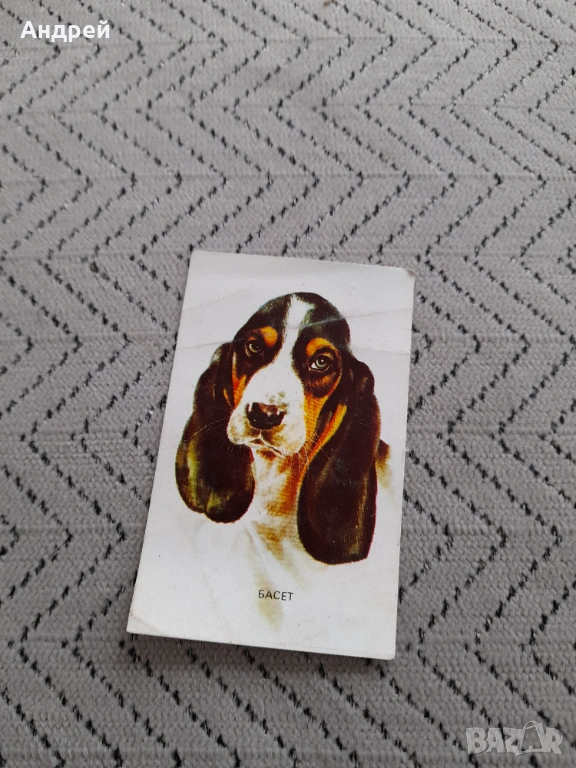 Календарче Басет 1984, снимка 1