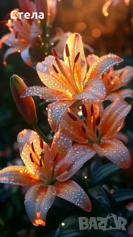 ***входове за чистене *, снимка 1