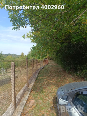  Нива  изоставена  близо до регулация ! , снимка 5 - Земеделска земя - 53576735