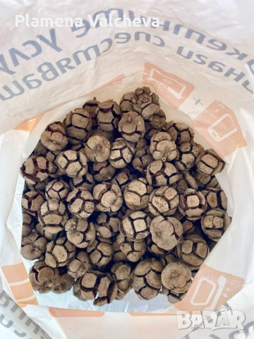 Кипарисови топчета за проекти и декорации